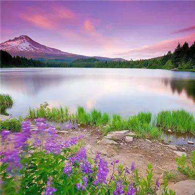 爱体育官方app手机app下载