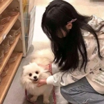 一码一肖100准资料应用手机app下载